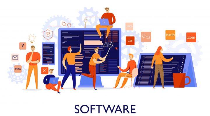 dedicated software development team working over a project