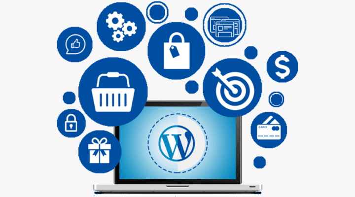 Custom WordPress Development Cost in Budget